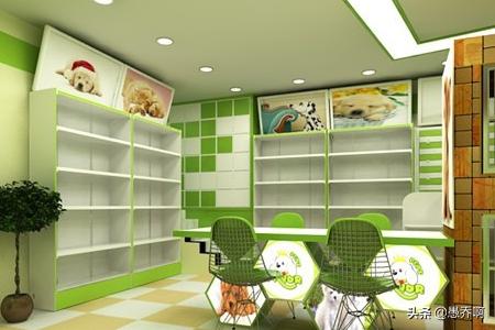 怎樣開寵物店?怎樣開寵物店才賺錢!