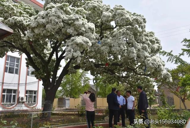 旅游购物 国内市场现状分析报告怎么写-旅游购物 国内市场现状分析报告怎么写的