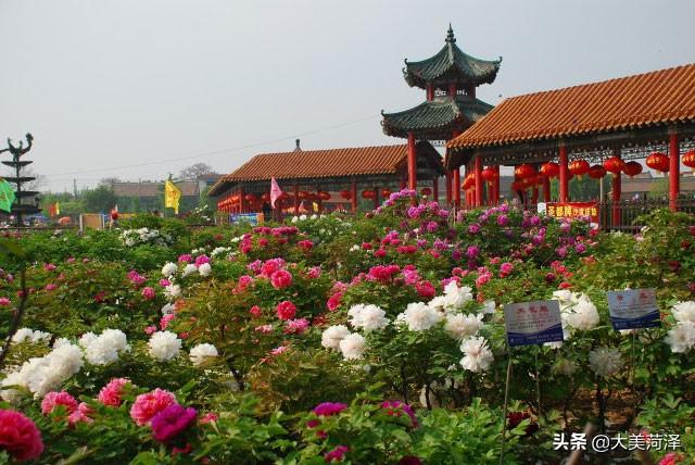 山东菏泽必去十大景点(图2)
