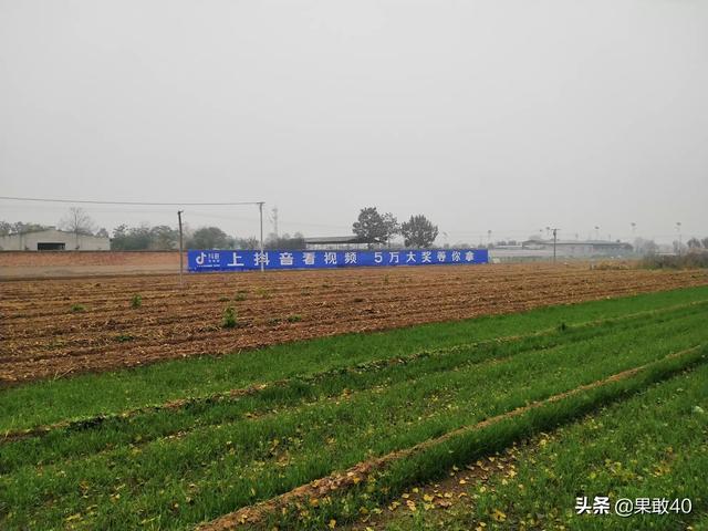 专业菜谱烹饪 餐厅怎么做-专业菜谱烹饪 餐厅怎么做的