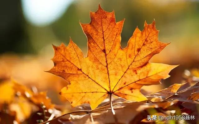 女人最大的财富是什么(图10)