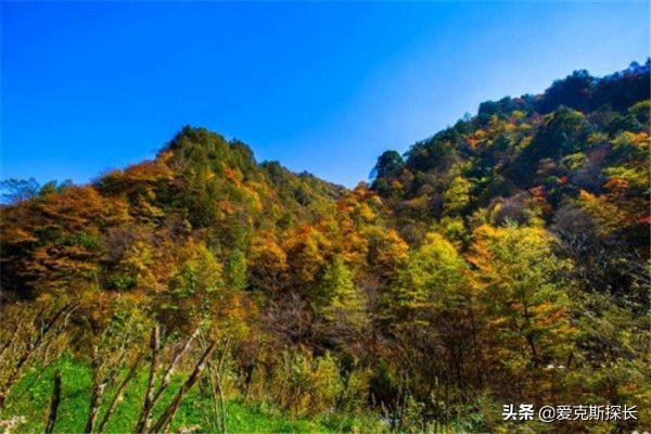 神农架必去的景点介绍(图7)