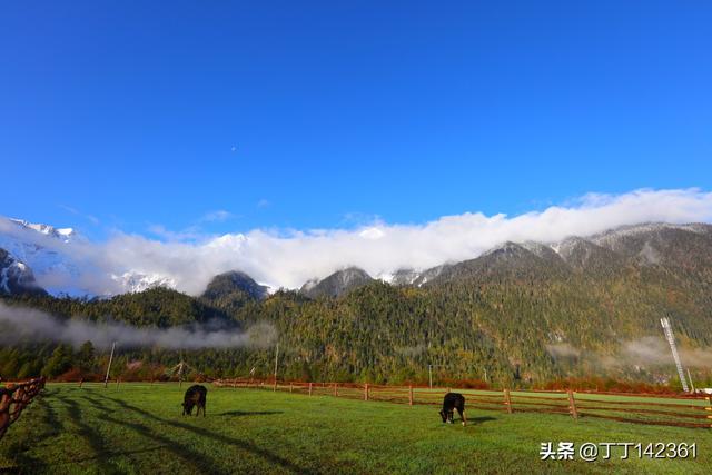 美术app开发前景