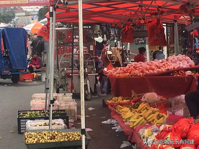 新乡好运饲料公司-新乡好运饲料公司简介