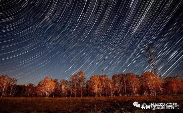 我的童话世界（编写童话故事的要求？）