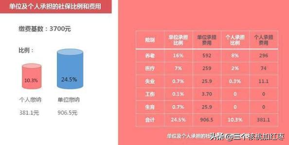 2020年个人社保交多少钱，2020年个人社保交多少钱一个月