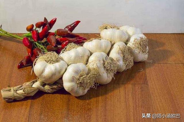 江苏射阳县生猪价格-江苏射阳县生猪价格表