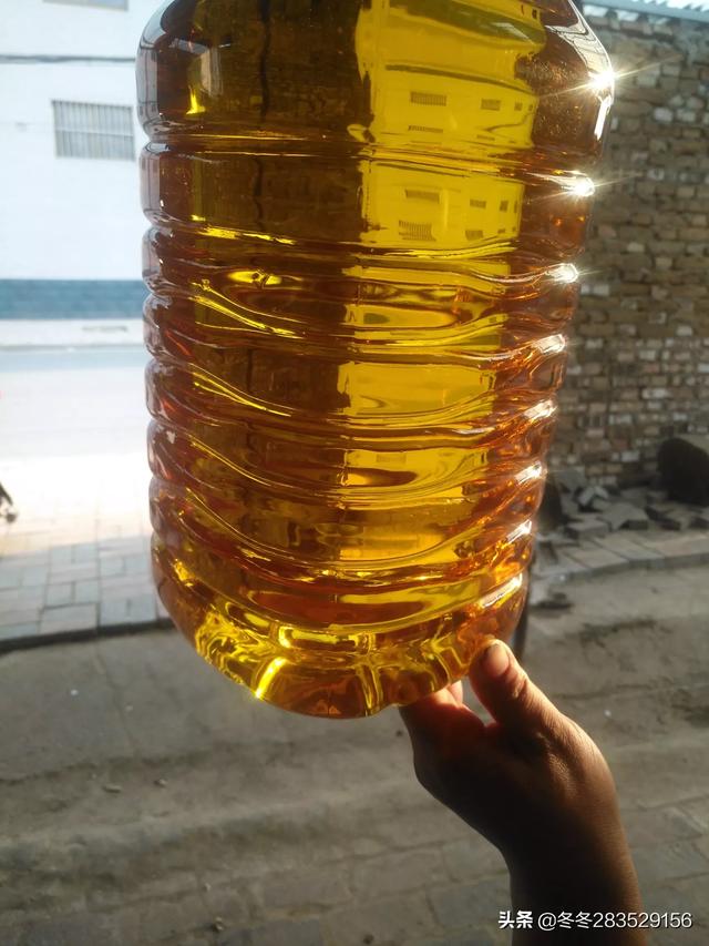 最快的农村发家致富的好项目