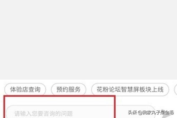 在线客服软件（在线客服软件下载）