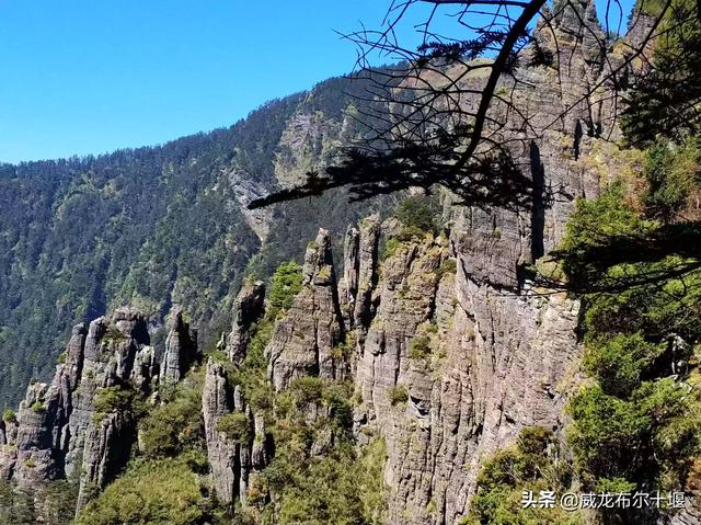 阿尔山旅游专列火车路线，阿尔山旅游专列火车路线图