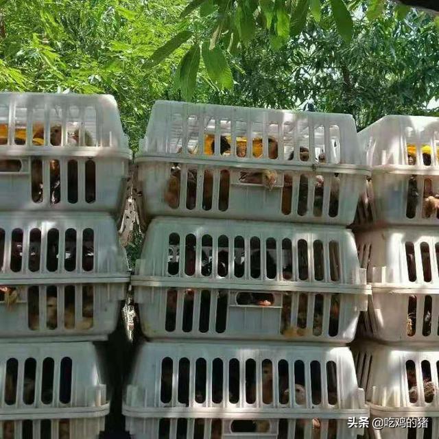 18万现金烧毁