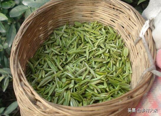 成都市区购买特产在哪里