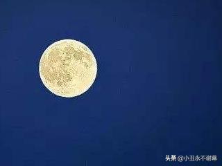 什么什么月(什么什么月是故乡明)