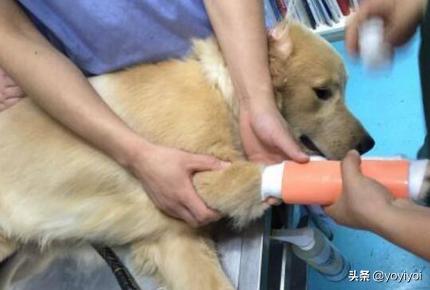 保定市破伤风多少钱一针