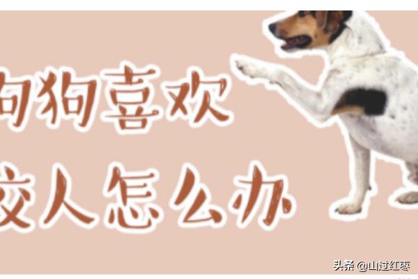 html文件怎么打开_iphone打开html文件怎么打开