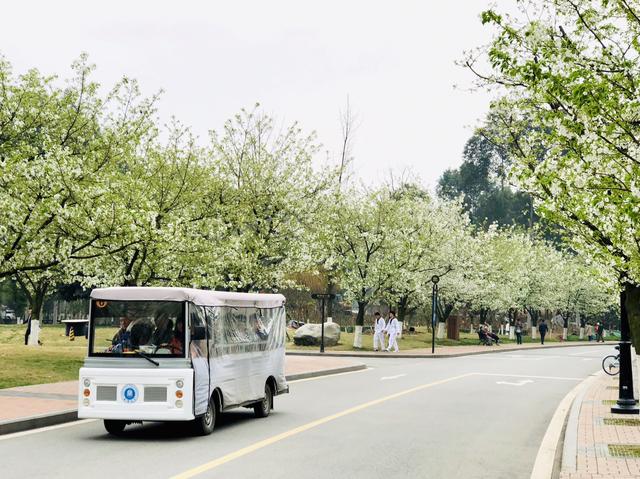 校园环境文化建设怎样体现地域特色？：中学校园景观设计说明