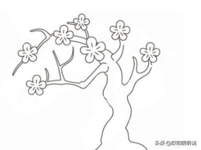 花卉树木手绘简笔画 养护方法