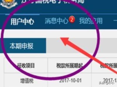 江苏国税电子税务网上申报(如何在国税电子税务局申报企业季度报表)