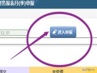 多种公司税务申报途径全面解析：选择适合自己的方式，公司税务申报怎么操作流程