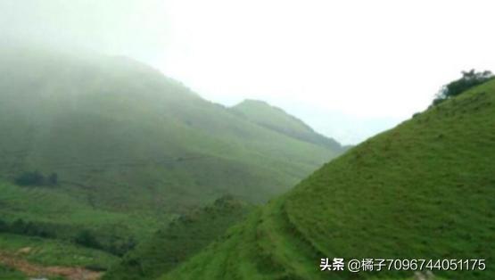 高州旅游必去的5个景点-高州旅游必去的5个景点有哪些