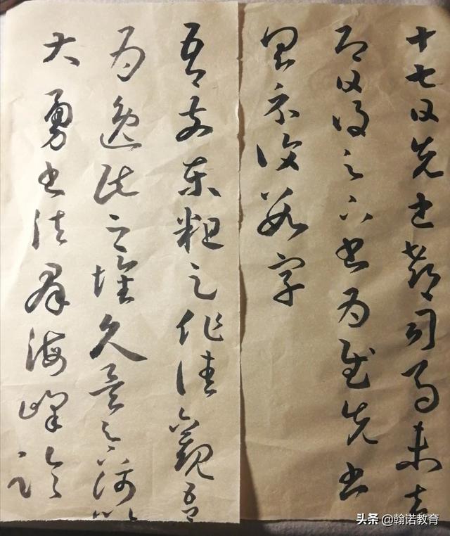 爱护草坪倡议书600字-爱护草坪倡议书600字作文