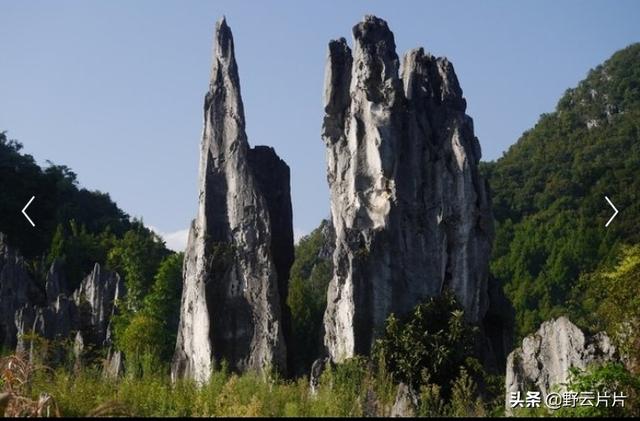 金林水乡 景点门票价格， 金林水乡 景点门票价格表