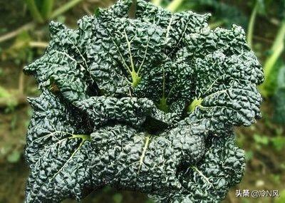 跨境电商湖北产品有哪些