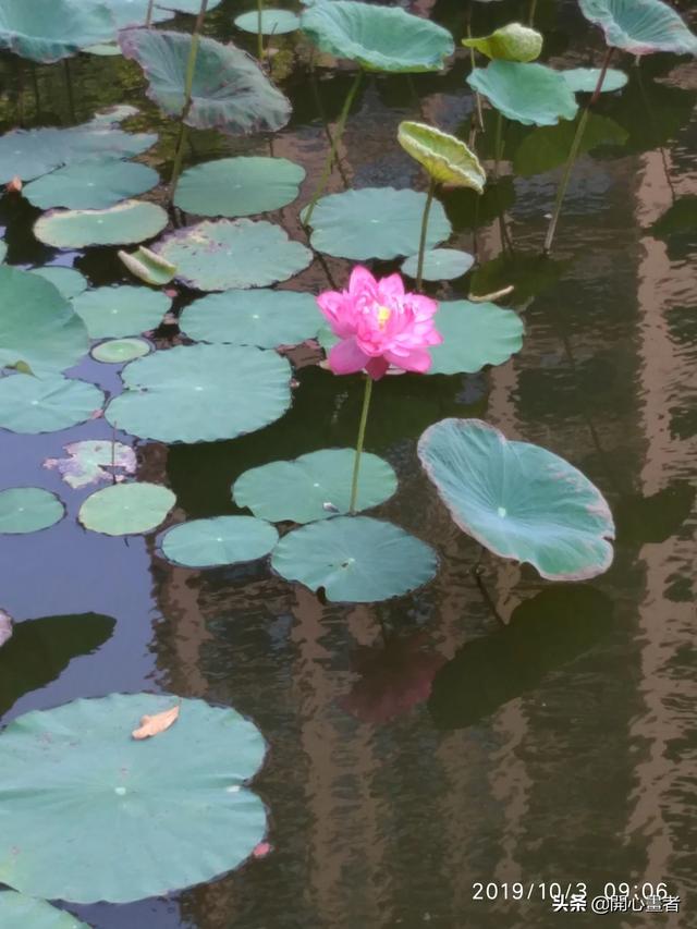 结婚当天是摄像好还是摄影好 结婚的,结婚当天摄影摄像都要请吗