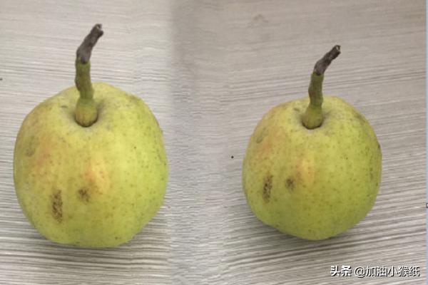 全景拍摄技巧和手法？：全景照片怎么拍