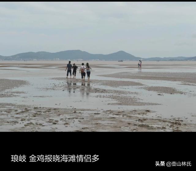 汕头市南澳县纸飞机账号购买