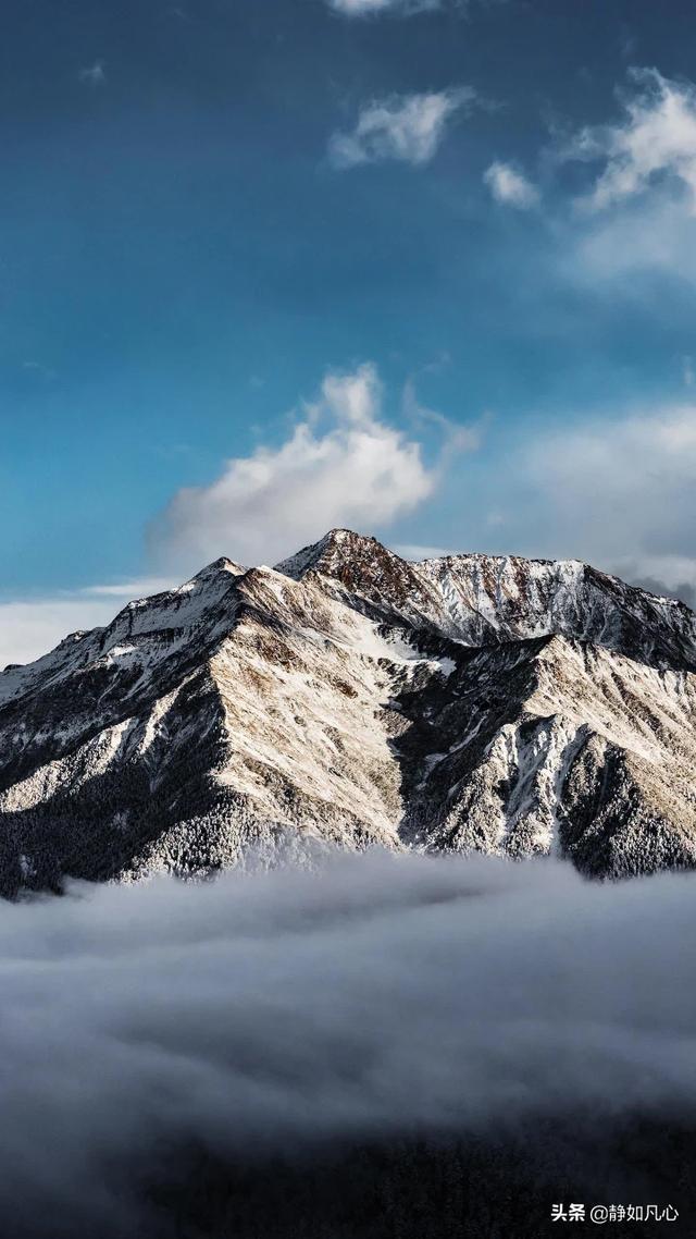 错误的是（下列关于麻黄草说法错误的是）