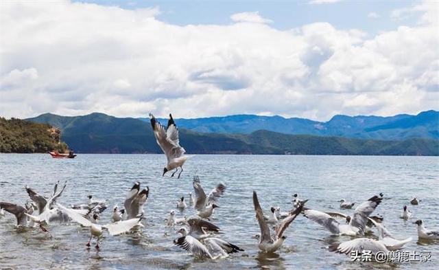 学习旅游管理有前途吗