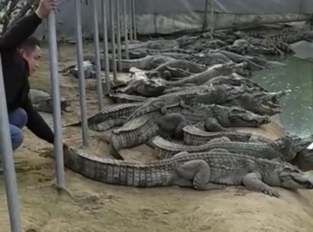 时尚女包图片（时尚女包品牌排行榜前十名）