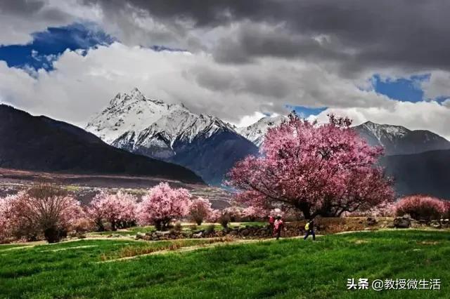 5天出境游推荐哪里,五天出游