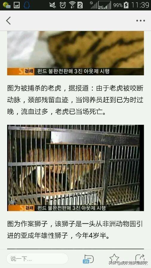 藏獒和老虎哪個厲害?藏獒和老虎哪個厲害?!