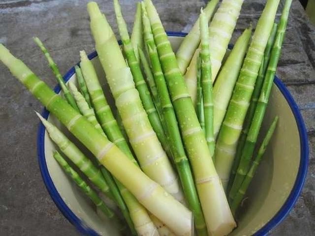 减肥素菜-减肥素菜菜谱大全