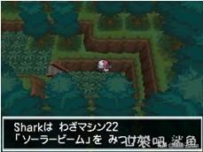 口袋妖怪黑2全神兽攻略 - 左右分岔