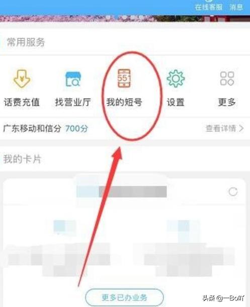 [移动短号]移动短号有多少种？