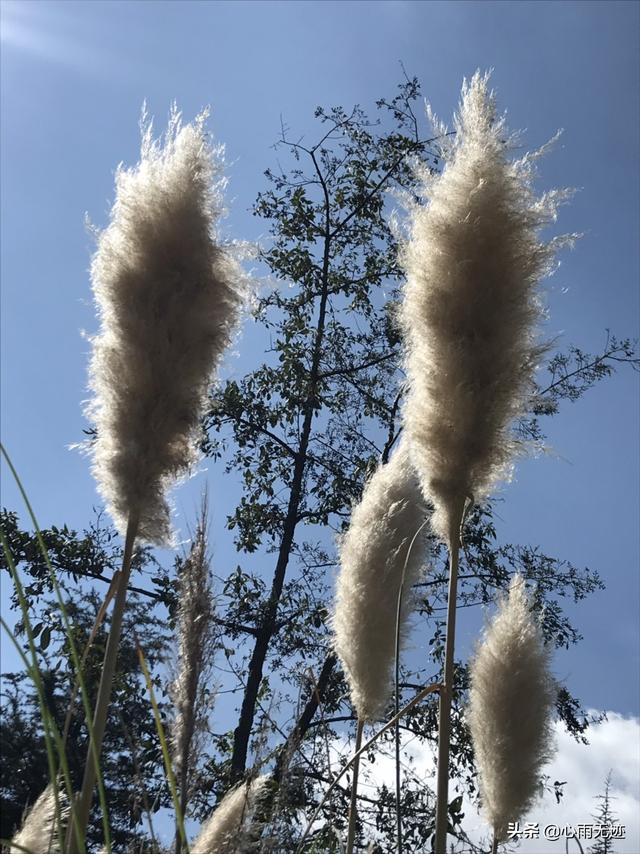 妹妹化妆技巧教程
