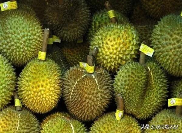 榴莲开壳后怎么吃最好(图4)