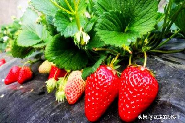 别称大全_城市别称大全