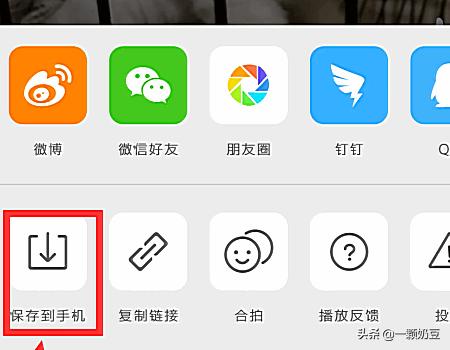如何下载新浪视频-如何下载新浪视频的视频?