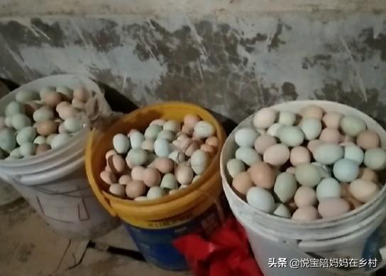 目前养殖什么赚钱快呢女生 50多岁的妇女养殖什么能致富？