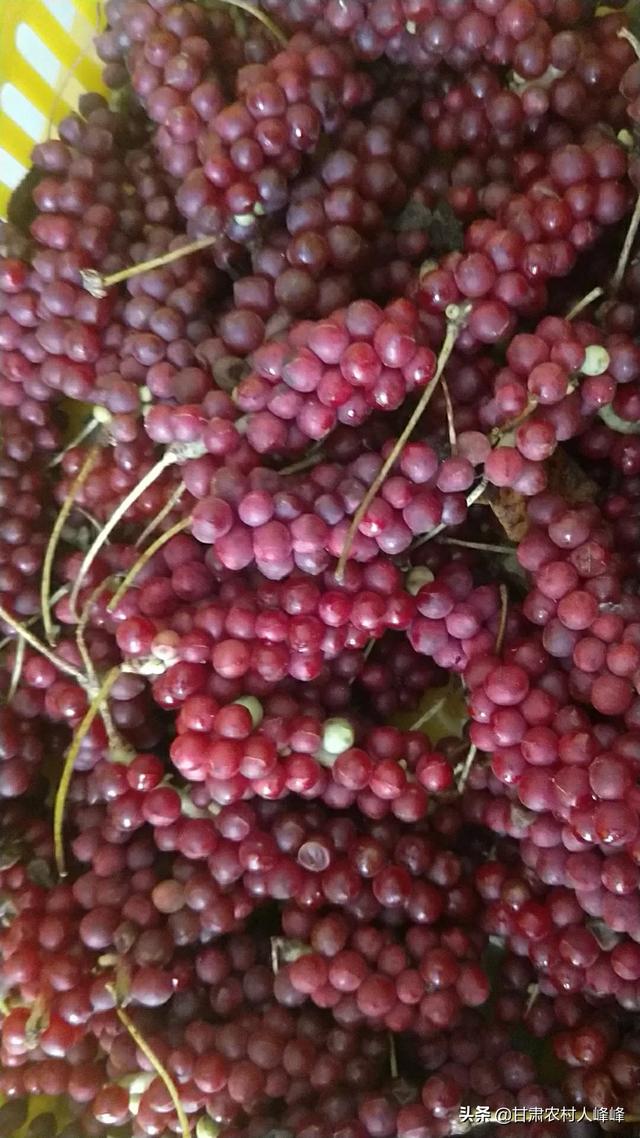 赶鸭子跨境购怎么样