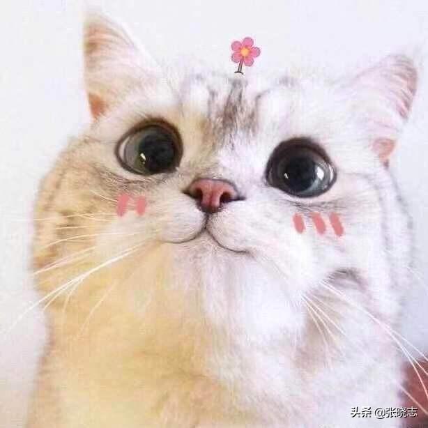 微信动态表情怎么保存(图2)