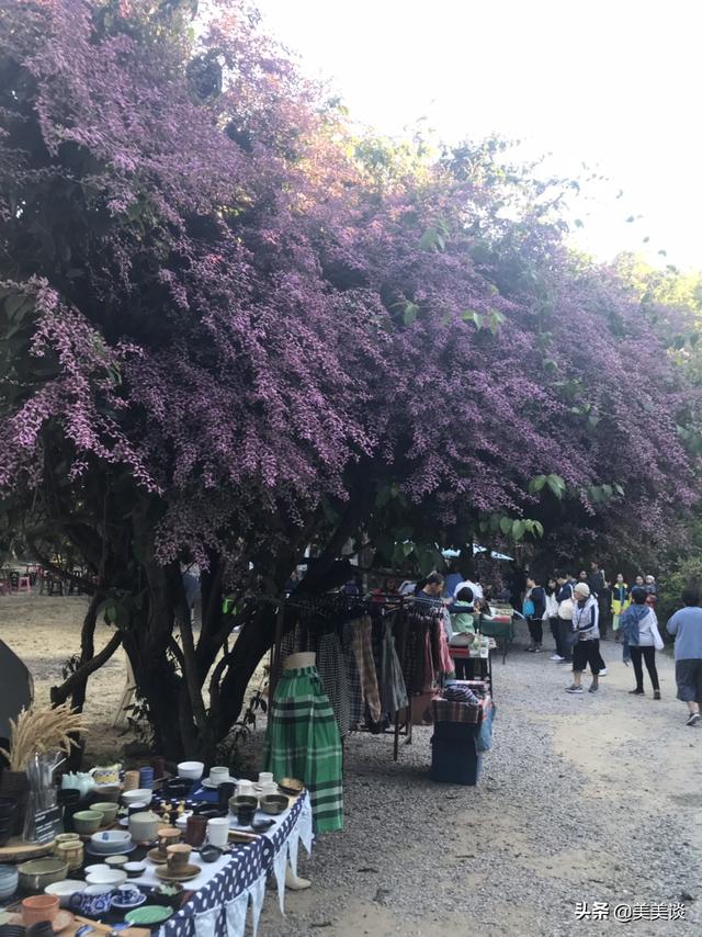 清迈蓝庙景点门票价格， 清迈蓝庙景点门票价格多少