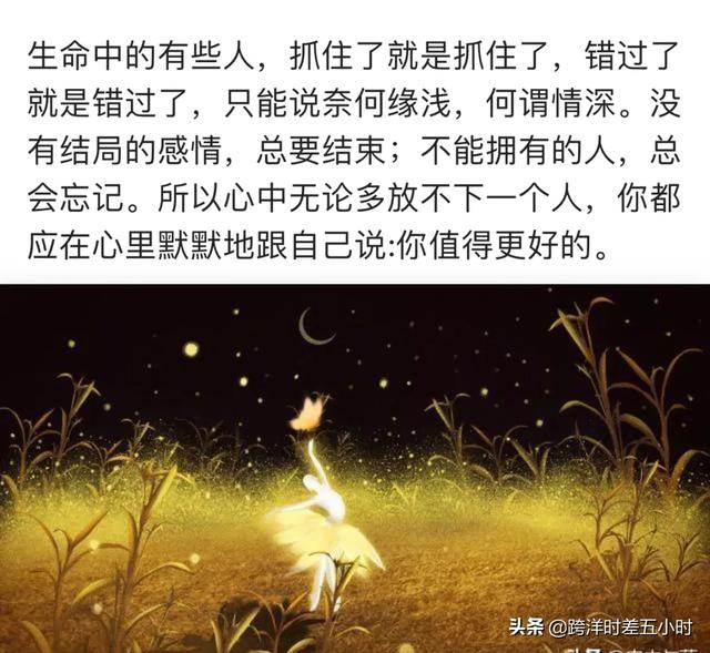 重生之选择放手（重生之选择放手）
