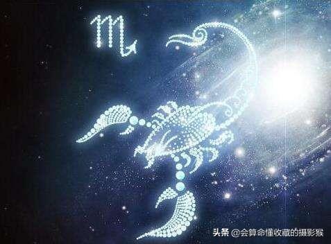 天蝎女表白的句子_星座情感语录