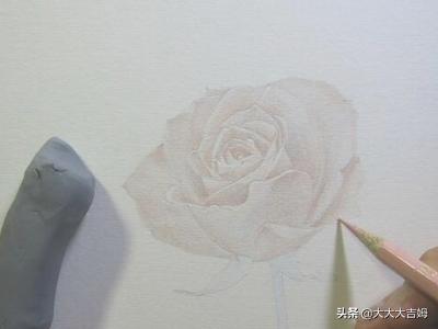 素描花卉画法? 素描花卉画法教案!