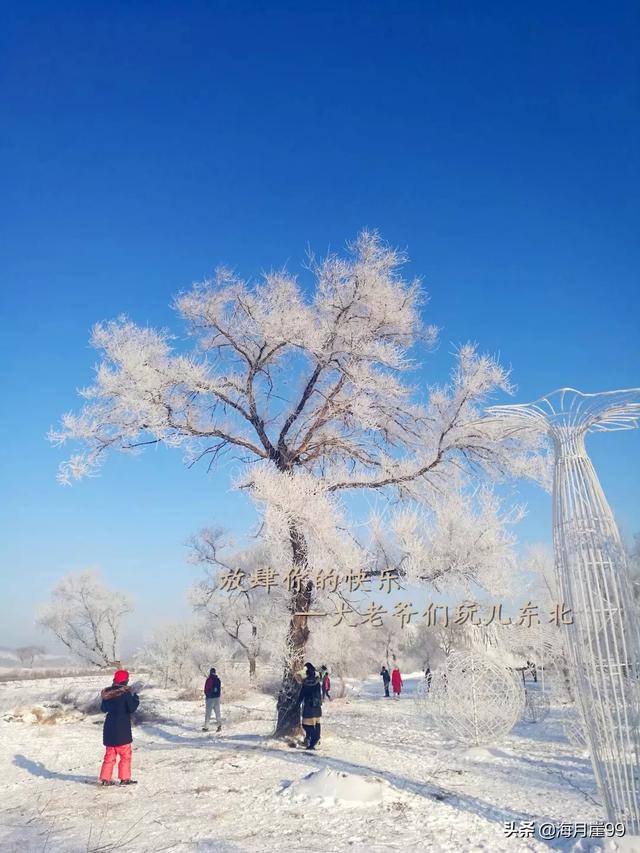 寒假适合小情侣去旅游的地方